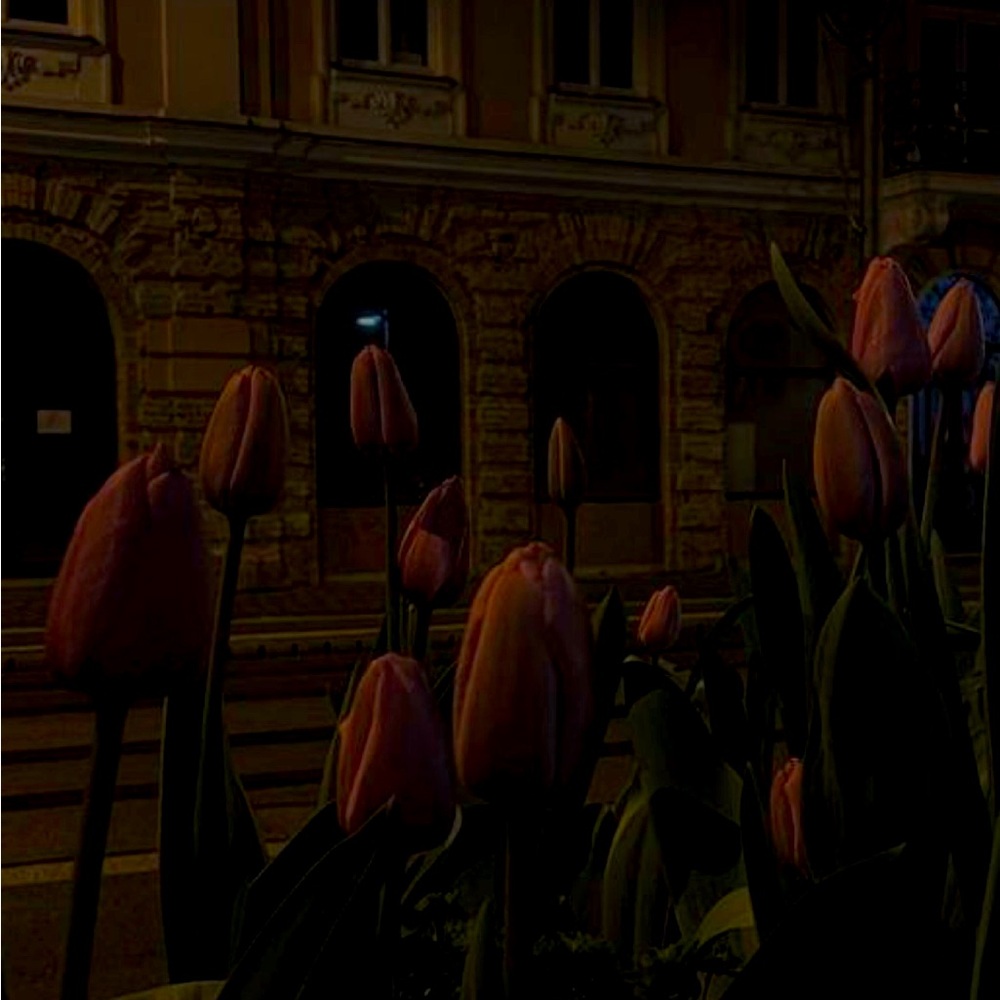 Meet your Posher, Katt